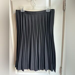 Banana Republic A-Line Pleated Skirt